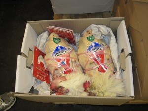 AOC Bresse Chickens