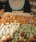 Blue Eggs