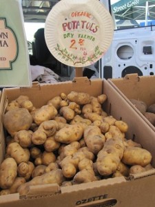 Ferry Market Dry Farm Potatoes