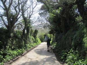 Laneway to Le Paysage