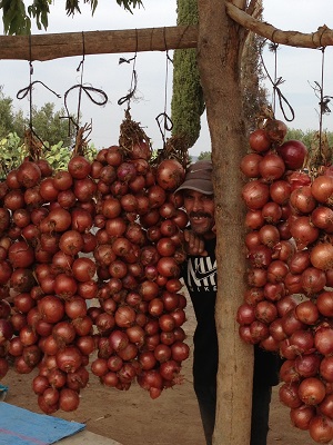 Roadside onions