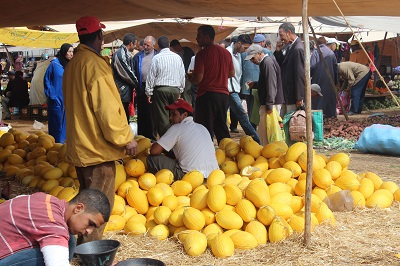 Sunshine coloured melon